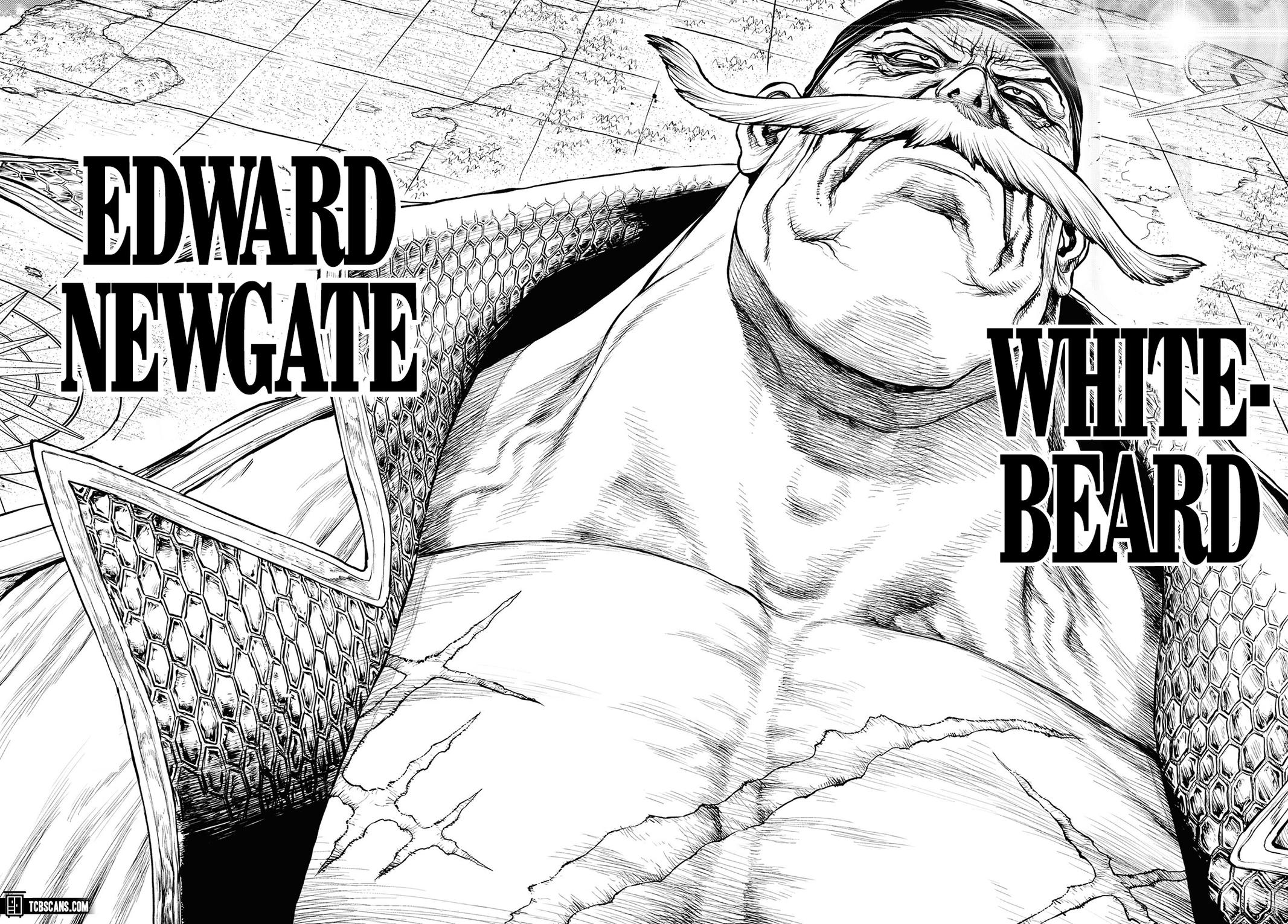 One Piece Ch.1003.5 p.41